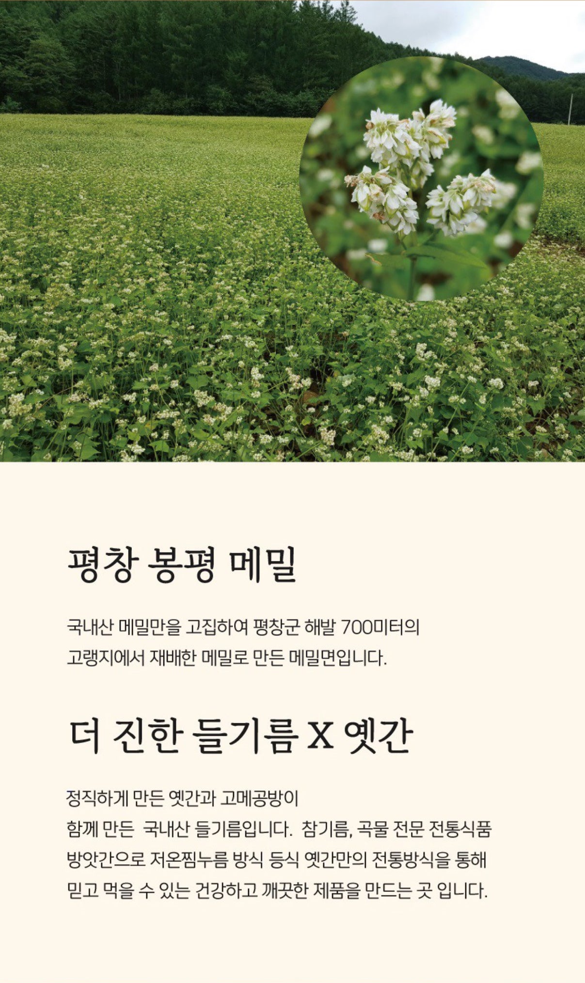 Perilla Oil Buckwheat Noodles 들기름 막국수 [286g/2 Servings]