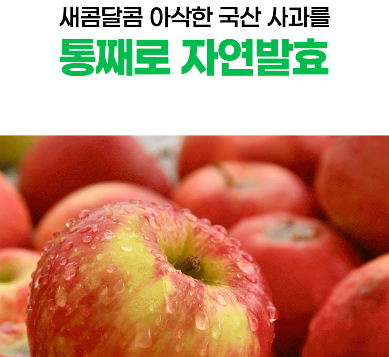 Apple Cider Vinegar Crunch 애사비 크런치 [1 Box/20 Packs]