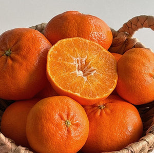 [Shipping to Korea/고국배송] Jeju Island Premium Orange 제주 프리미엄 레드향 [3kg]