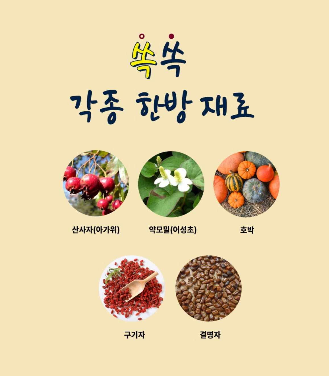 Ssok Ssok Fermented Psyllium Husk/Dietary Fiber 빼주세요 쏙쏙 발효 차전자피 식이섬유 쾌변 디톡스 [2Boxes/6gx60 Sticks]