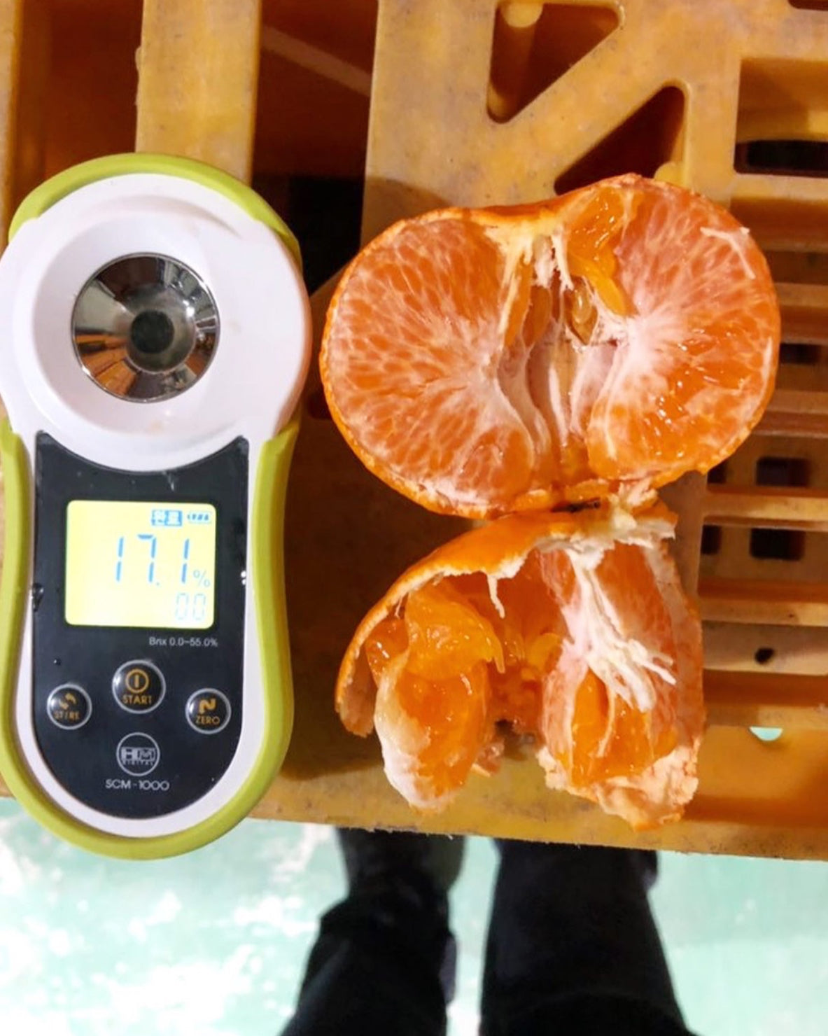[Shipping to Korea/고국배송] Jeju Island Premium Orange 제주 프리미엄 레드향 [3kg]