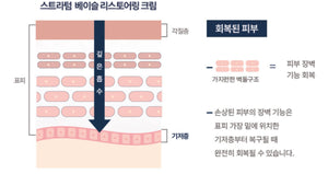 Dermal-care Stratum Basale Restoring Cream 더멀 리스토어링 크림 [50ml]