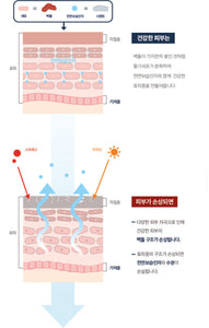 Dermal-care Stratum Basale Restoring Cream 더멀 리스토어링 크림 [50ml]