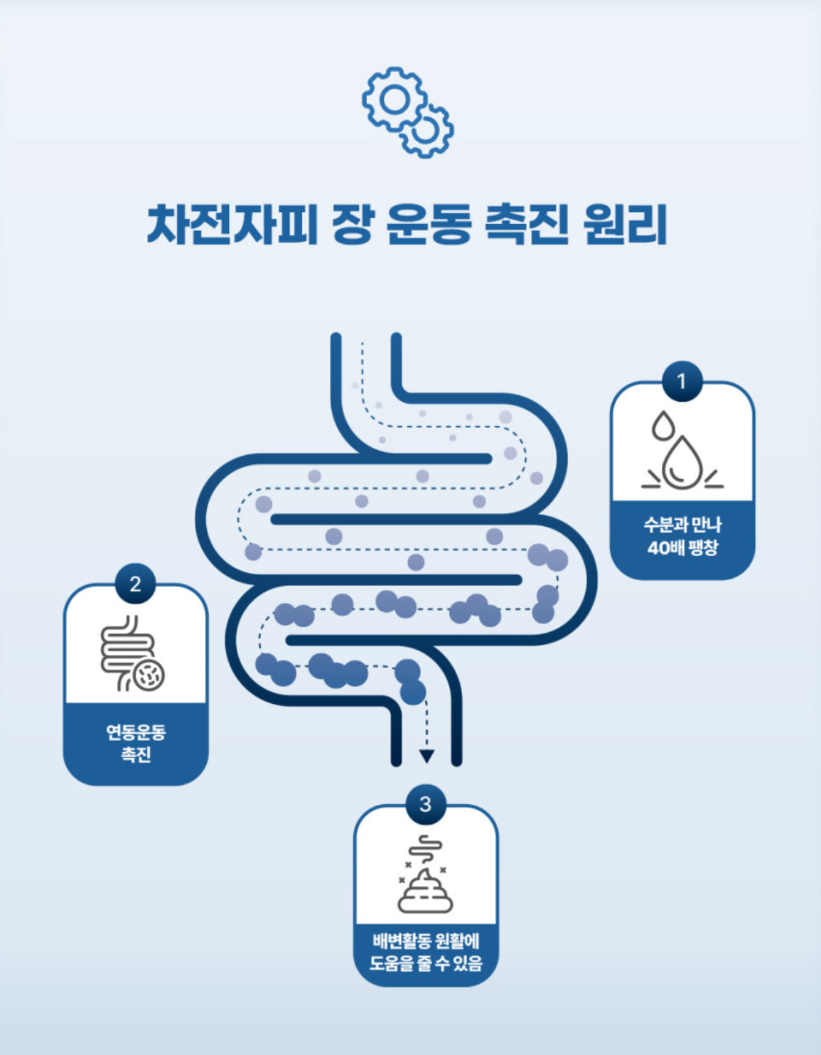 Ssok Ssok Fermented Psyllium Husk/Dietary Fiber 빼주세요 쏙쏙 발효 차전자피 식이섬유 쾌변 디톡스 [2Boxes/6gx60 Sticks]
