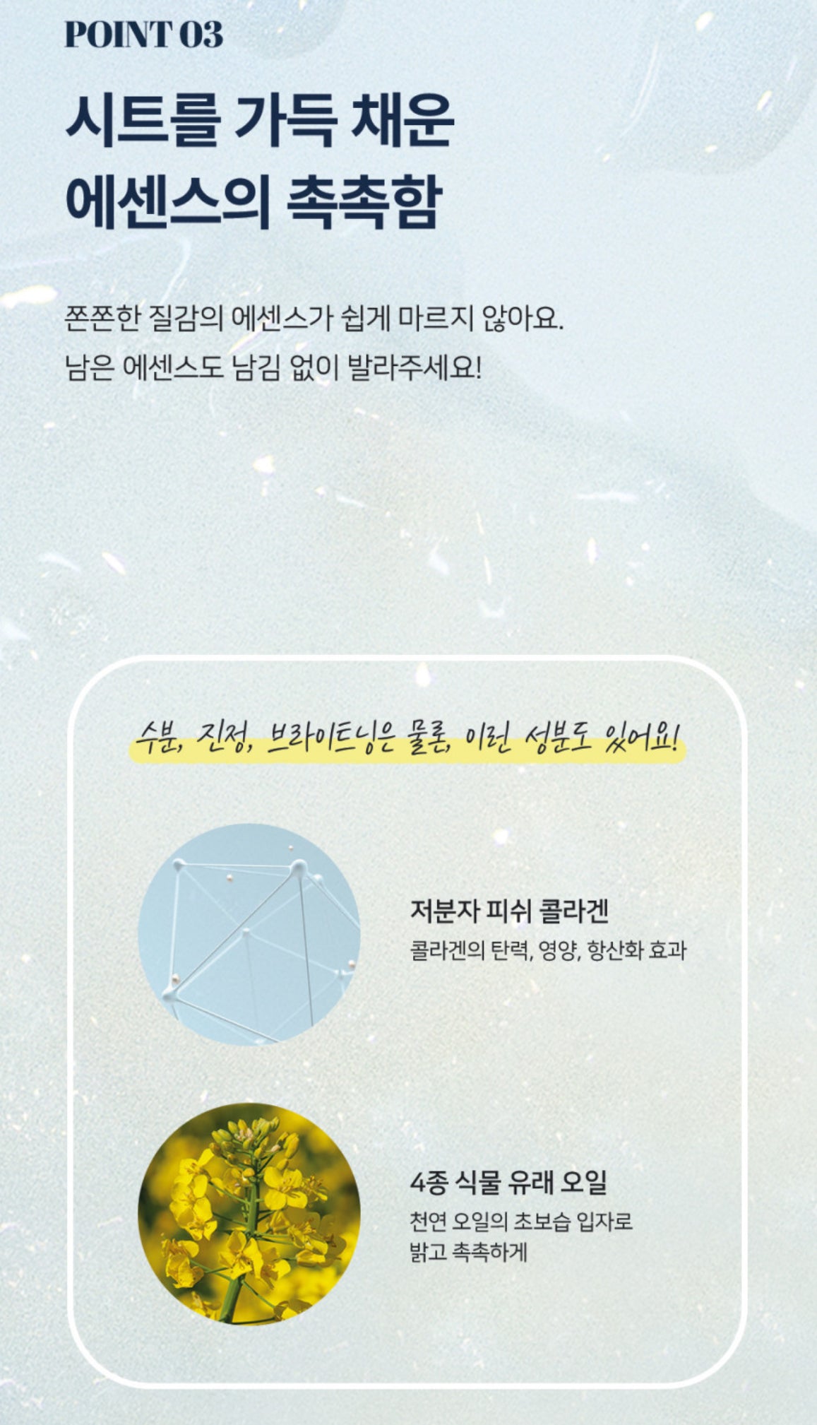 Basic Dermal-care Essence Daily Mask 베이직 더멀케어 에센스 마스크 [1 Box/10 Sheets]