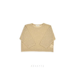 Chloe Lace Mesh Top 클로이 레이스 메쉬탑
