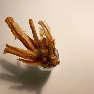 Buttery Dried Squid 페스츄리 오징어 [250g]